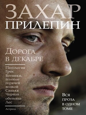 cover image of Дорога в декабре